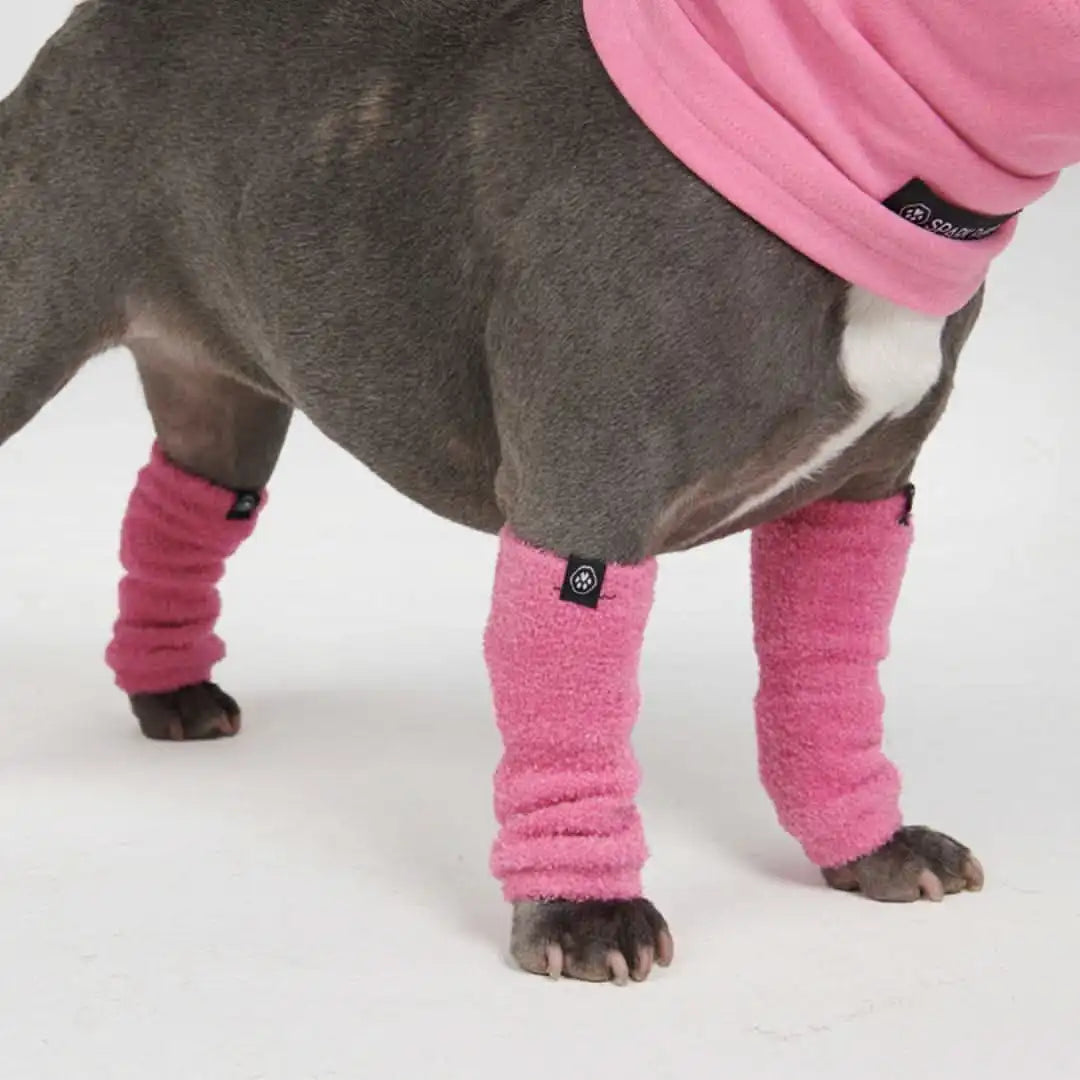 Leg Warmer and Earmuff Protector Set - Pink