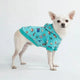 Australia Hoodie Teal