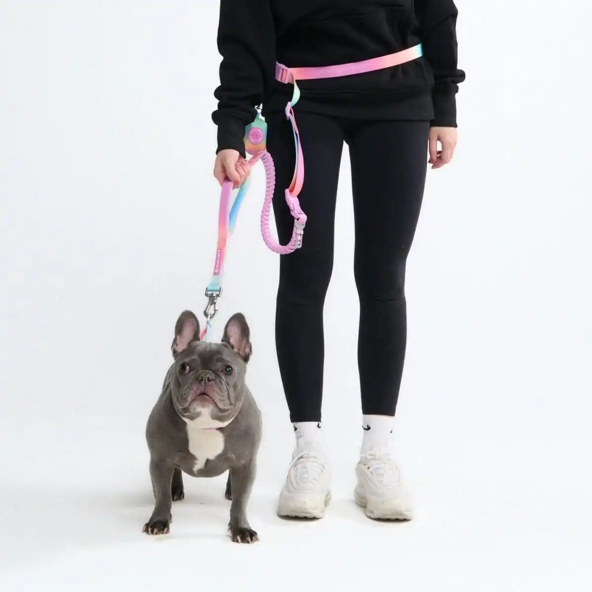 Multipurpose Seatbelt Handsfree Leash & Poop Bag Holder Set - Pastel Icing