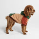 Ranger Hoodie