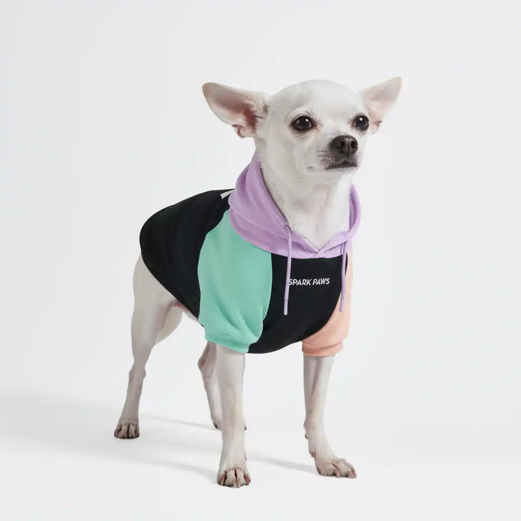 Cyber Punk Dog Hoodie