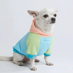 Jelly Bean Dog Hoodie