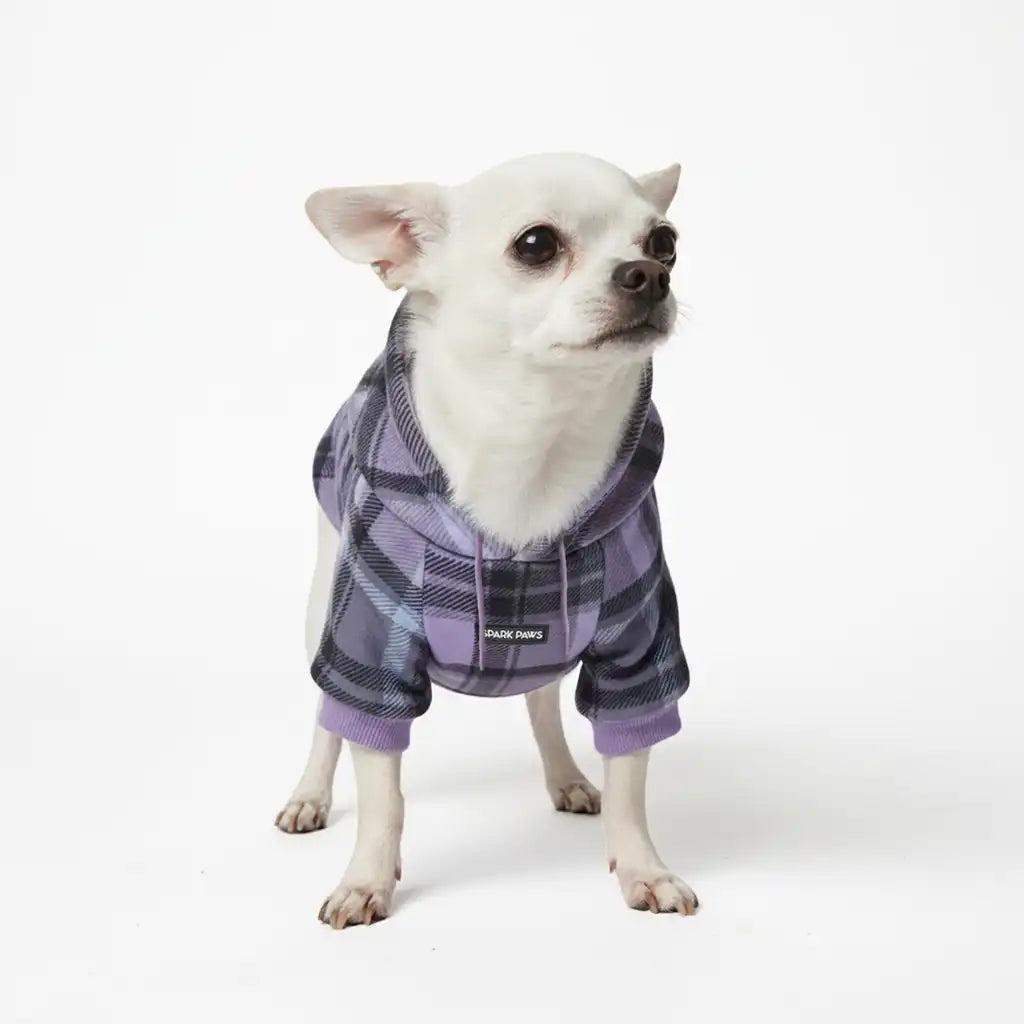 Purple Plaid Dog Hoodie