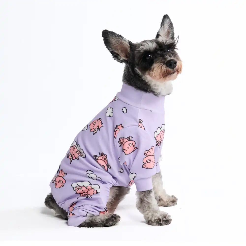 Dog Pajama Prints