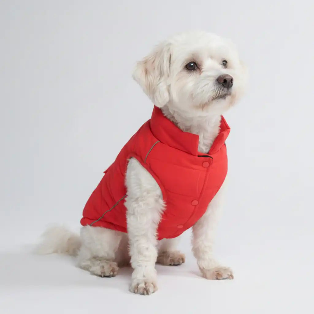 WarmShield Water-Resistant Jacket - Red