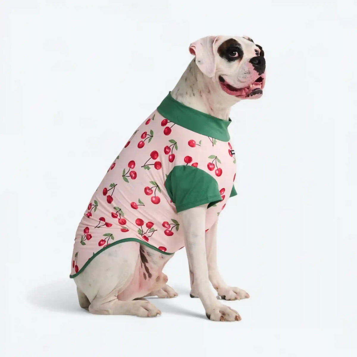Sunblock Shirt - Cherries