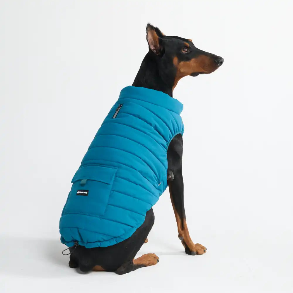 WarmShield Water-Resistant Jacket - Teal