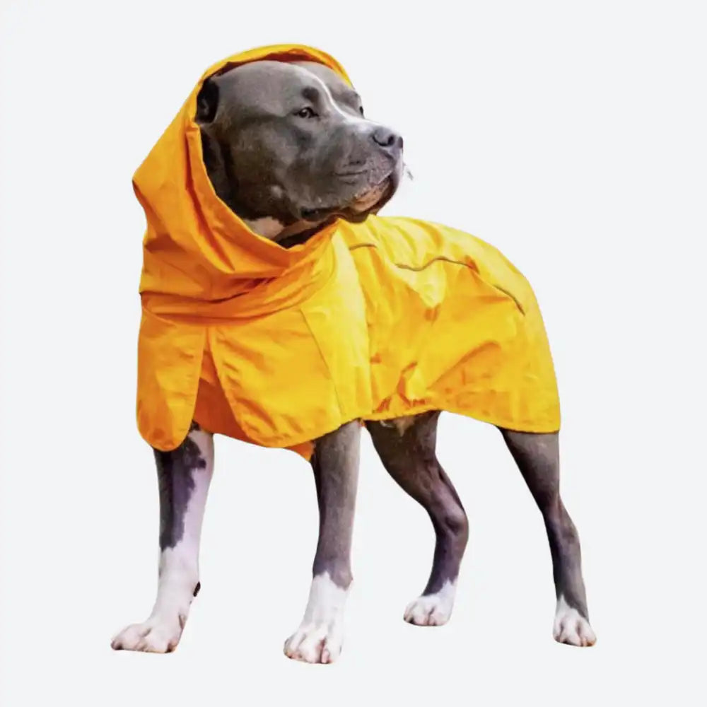 Breatheshield™ Dog Raincoat - Mustard Yellow