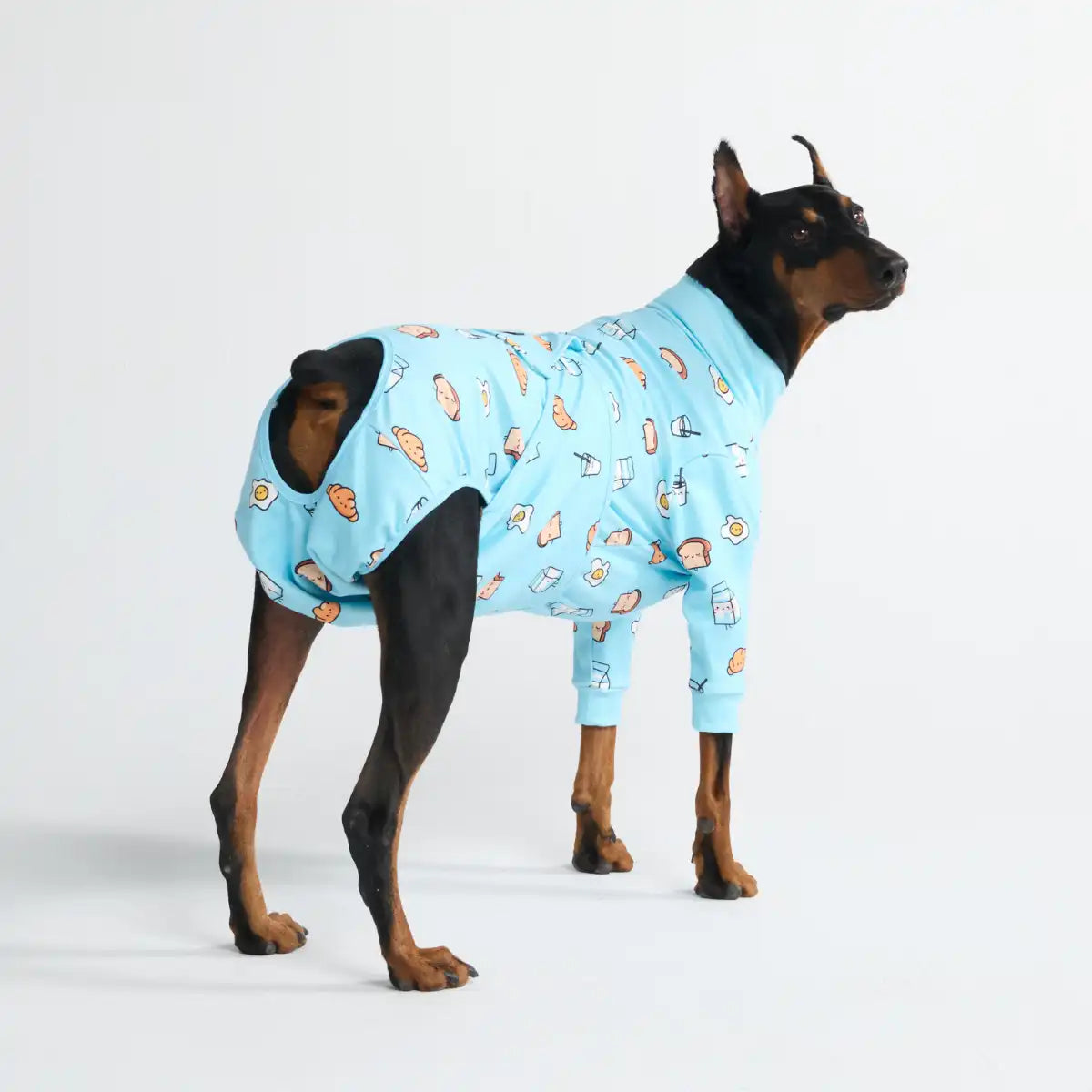 Dog Surgical Suit - Breakfast Blue