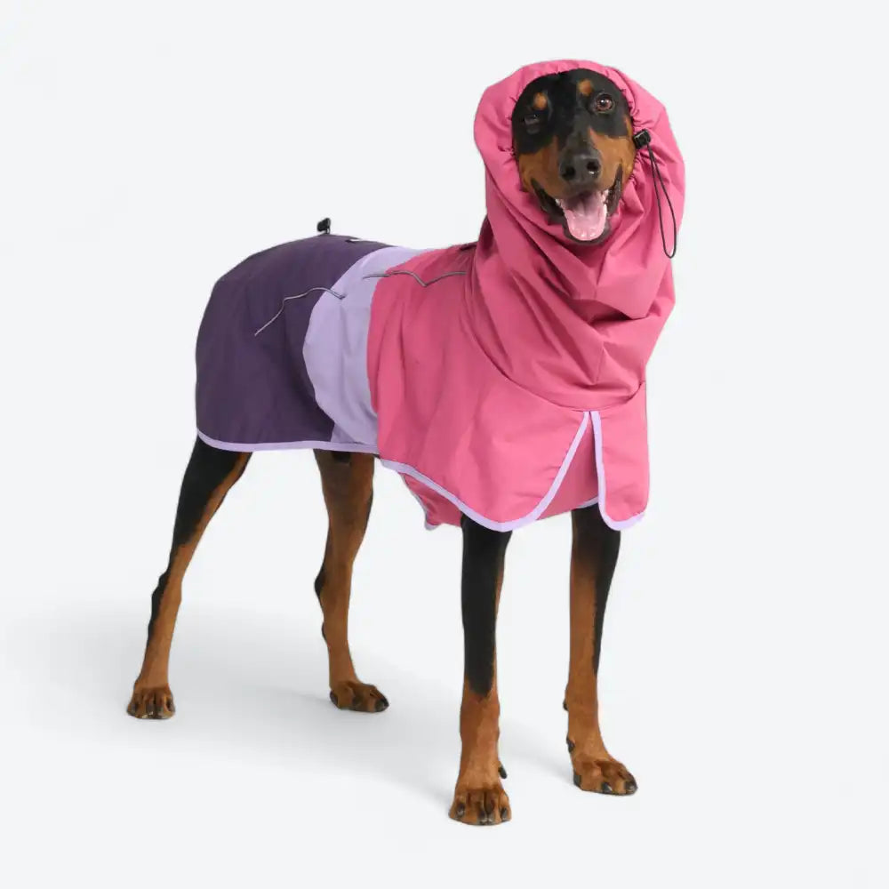 Breatheshield™ Dog Raincoat - Pink Lilac Purple
