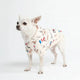 France Hoodie Beige