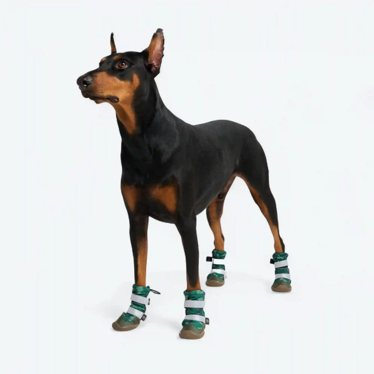 Dog Rainboots, Waterproof Dog Shoes - Green Camo