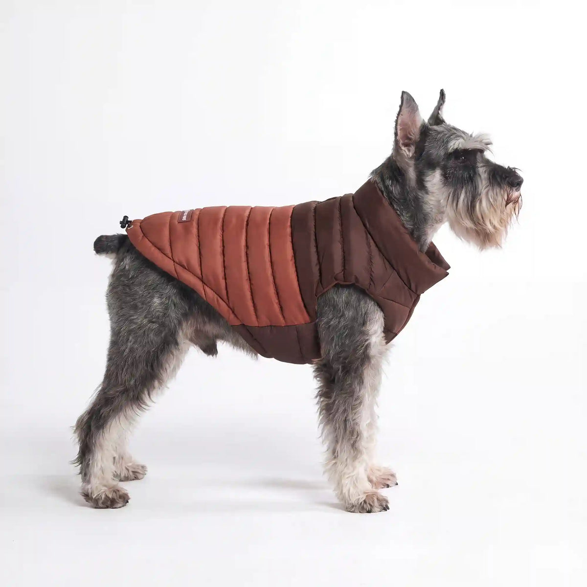 PuffShield Winter Jacket - Brown