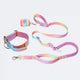 Pastel Icing Collar