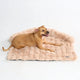 Beige Calm Couch Bed