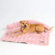 Pink Calm Couch Bed