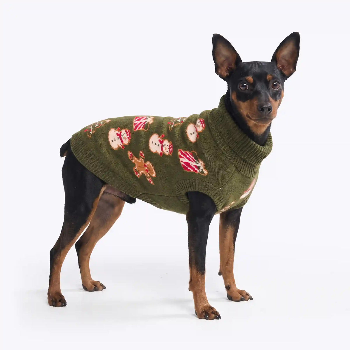 Christmas Knit Dog Sweater - Gingerbread