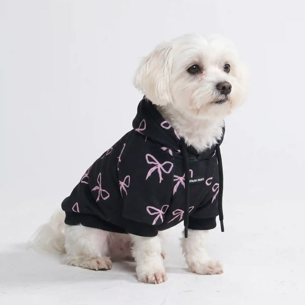 Coquette Dog Hoodie