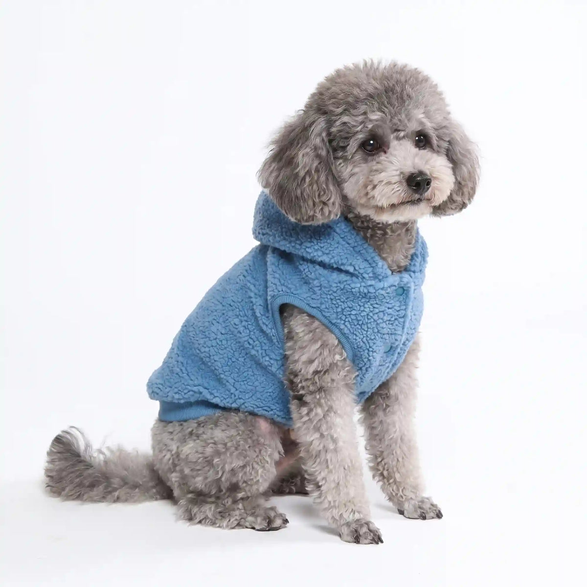 Teddy Sherpa Dog Jacket - Blue