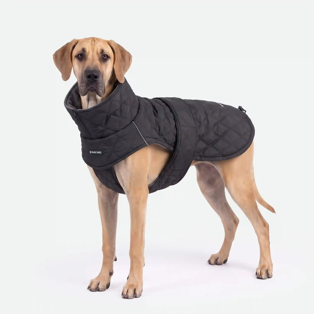 Quilted Classic Winter Coat - Black