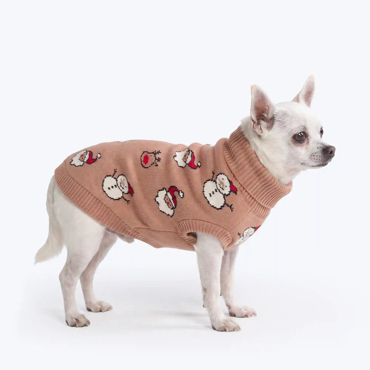 Christmas Knit Dog Sweater - Santa & Rudolph