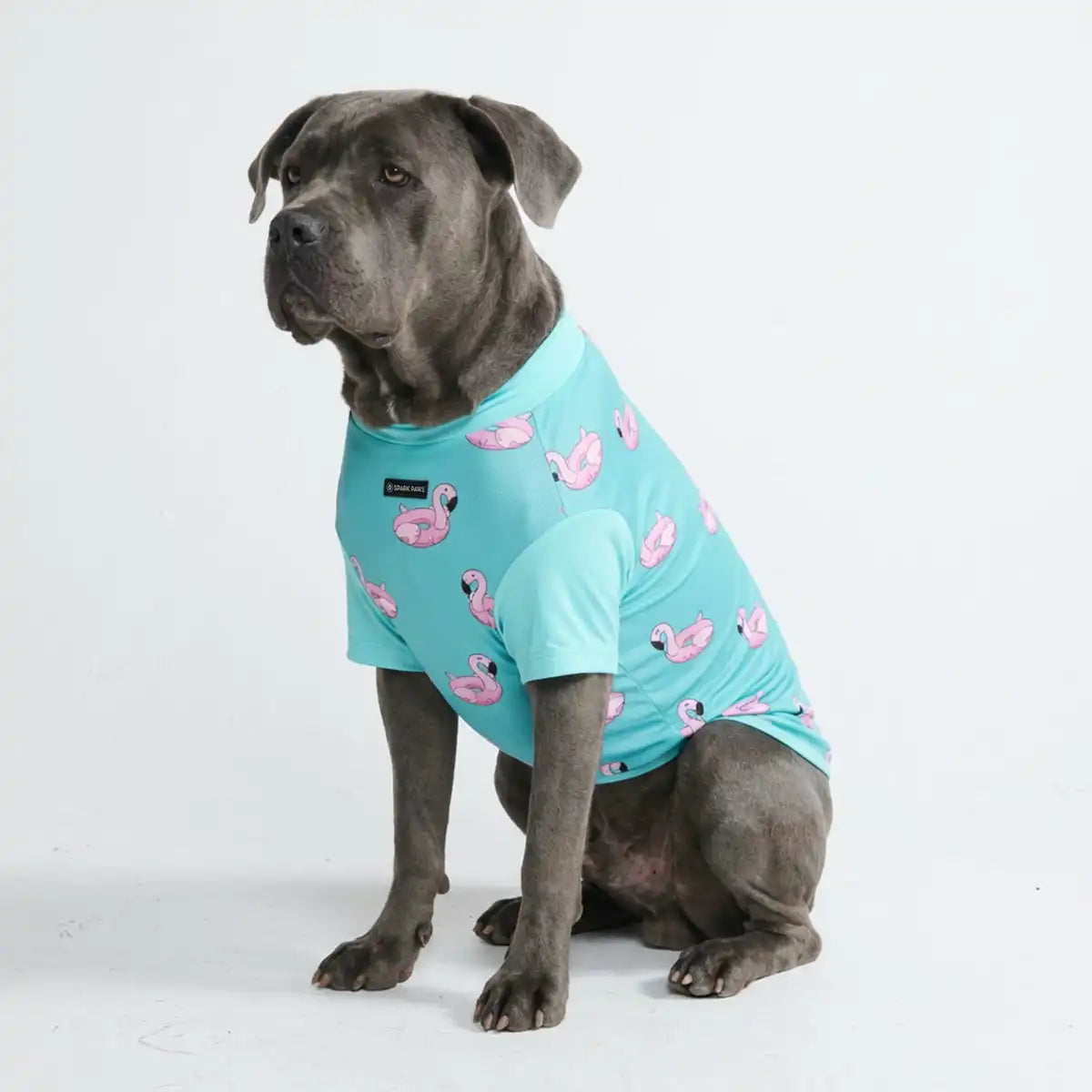Sunblock Dog T-Shirt - Flamingo