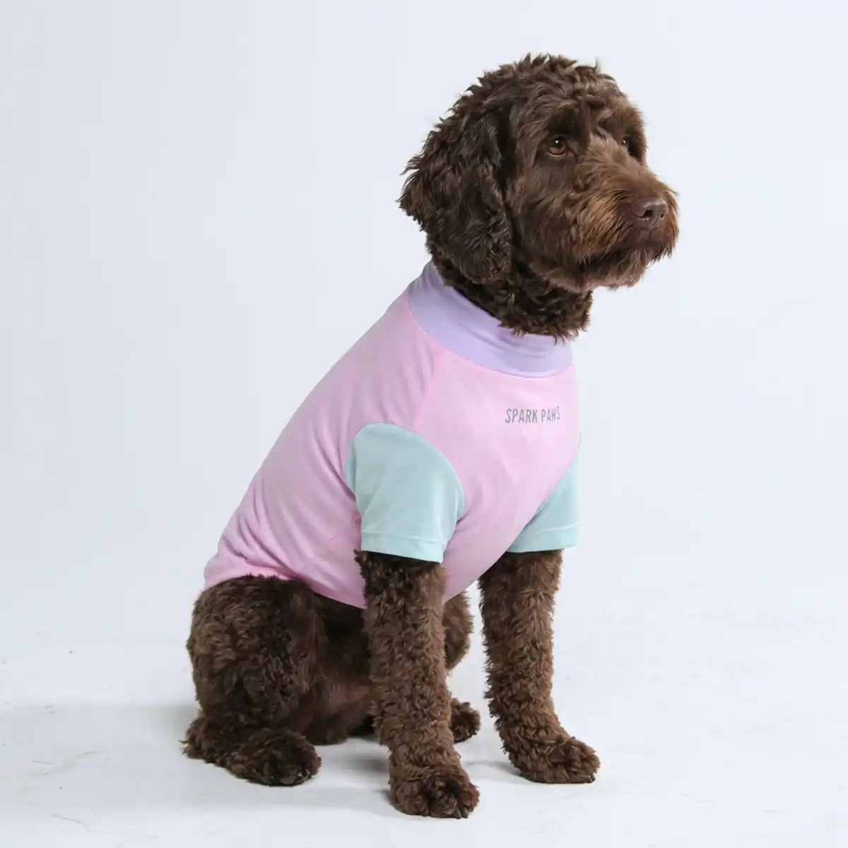Sunblock Dog T-Shirt - Gelato