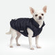 Black Thermosonic Winter Jacket
