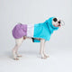 Dog Raincoat - Aqua White Purple