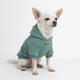 Essential Teal Hoodie