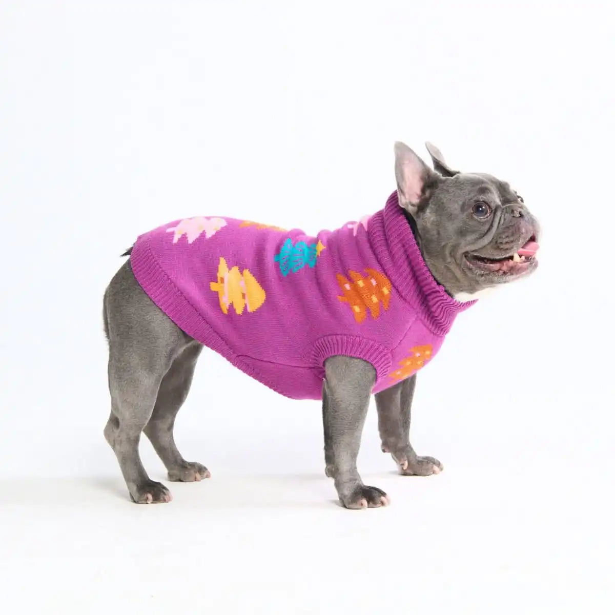Christmas Knit Dog Sweater - Candy Trees Magenta
