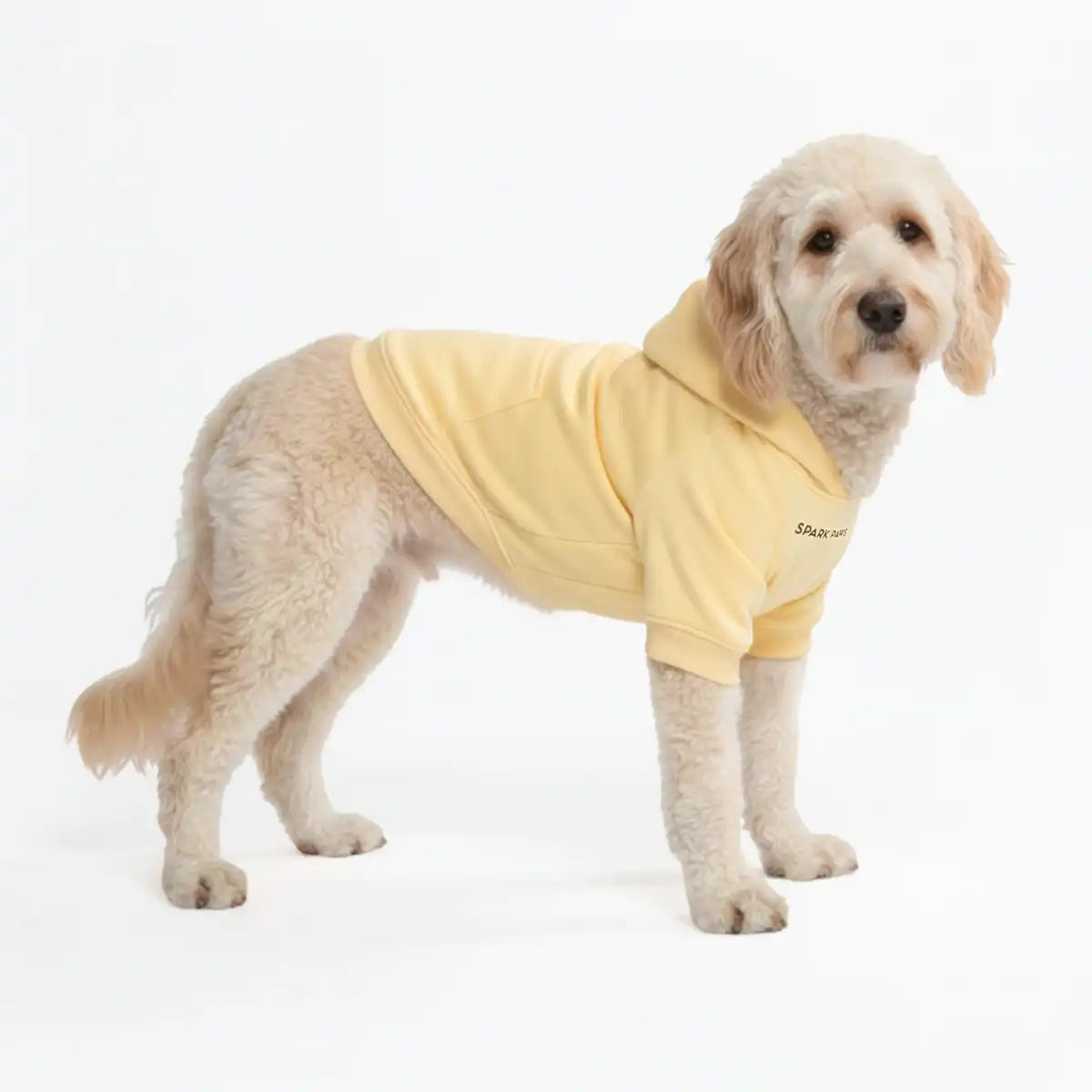 Essential Dog Hoodie - Buttercream