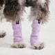 Leg - Purple