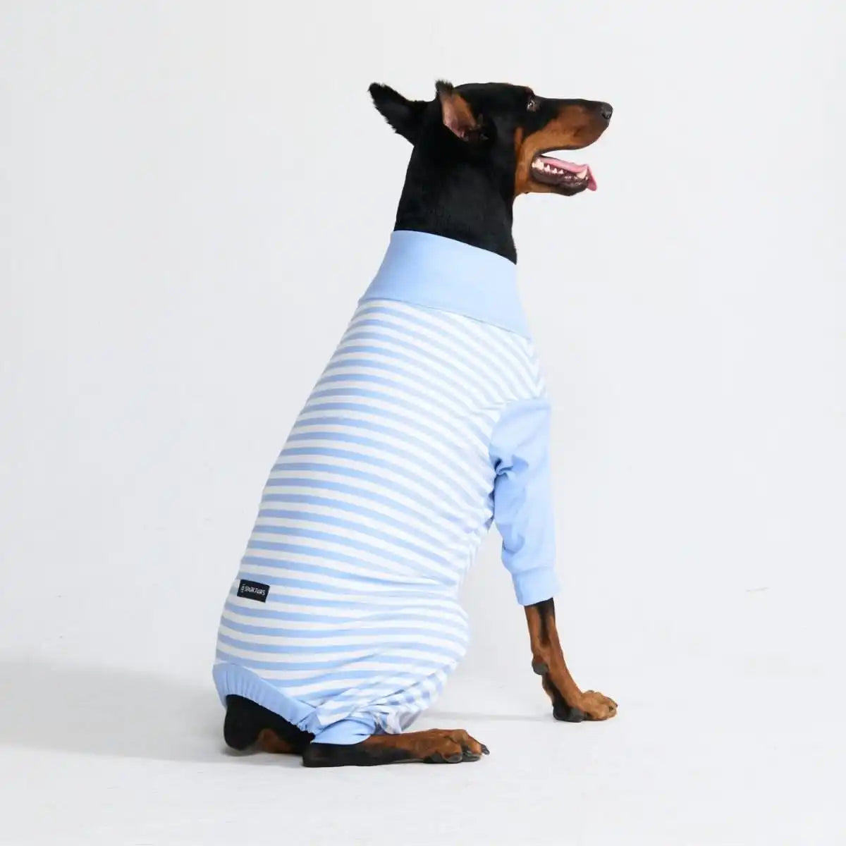 Dog Pajama - Blue Stripes