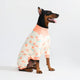 Peaches PJ