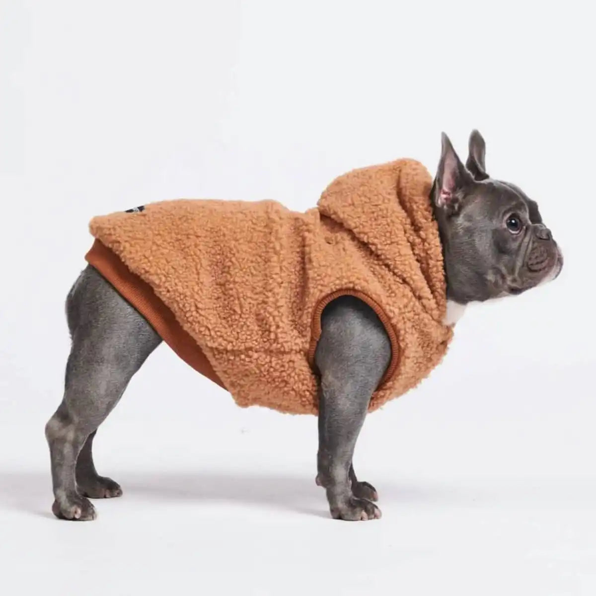 Teddy Sherpa Fleece Dog Jacket - Brown
