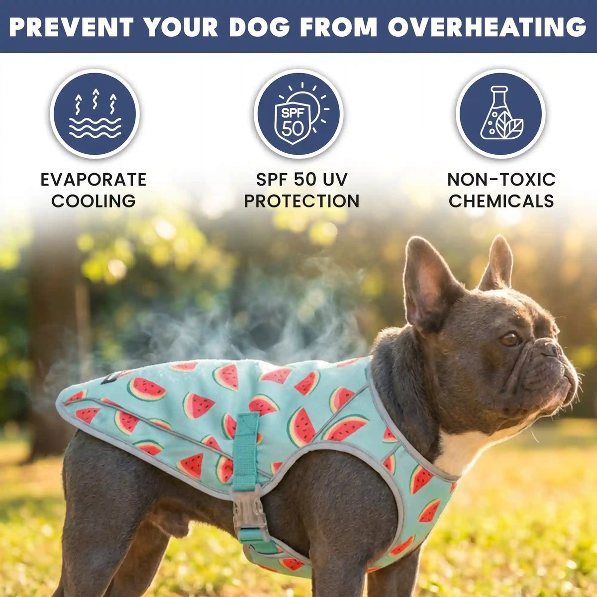 Dog Cooling Vest (2-pack) - Popsicles & Watermelon